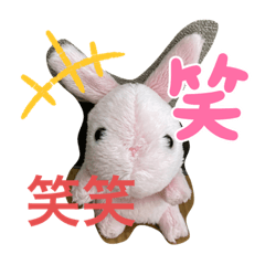 rina_20220610095137
