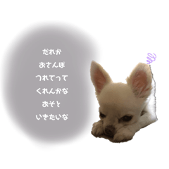 sachiko_20220612164536