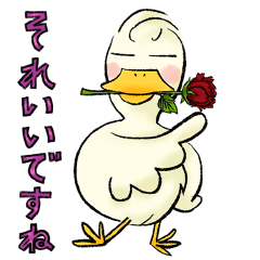 Cute Duck and his girl friend(Resale)