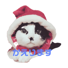 KUU_20220612195153