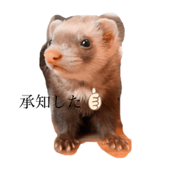 shiho_20220612175640