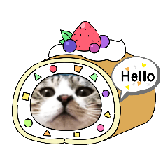 いつもにこねこ➕わん
