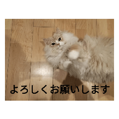 hikaru_20220612201916