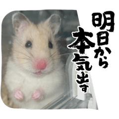 Suzu_20220613003339