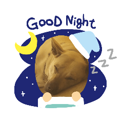 土豆布丁日常生活