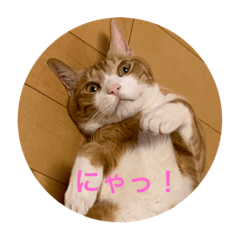 Kaori_20220612234501