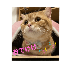 rei_20220613125452