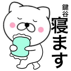 Name cat Kagitani
