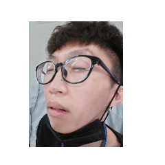 JOJO的好朋友們