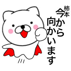 Name cat Kakimoto