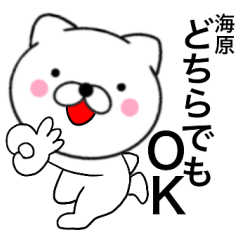 Name cat Umihara