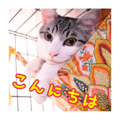 Shuu.Hinata.Riha