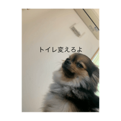 Shiho_20220613143304