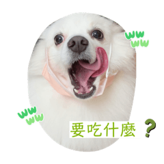 摳摳的主人毛那麼多