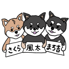 My belove child(S&M&F)