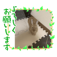 yuka_20220612191431