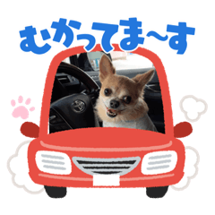 hana_20220612201948