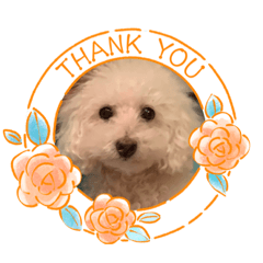 Saori_20220613154119