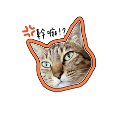 國道六寶