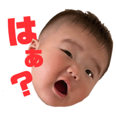 toanonichijo