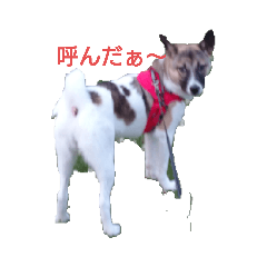 yuzuko_20220613183412