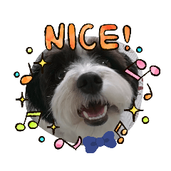 tomomi_20220613161702