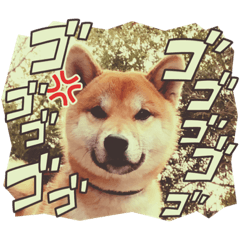 mizuki_20220613210013