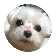 Ruby_20220613203342