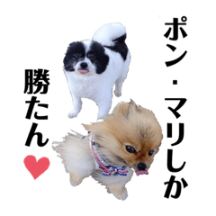 shiho_20220613211030