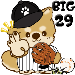 [Big] Chachamaru 29 (baseball)