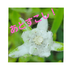 sonohennno_20220613203054