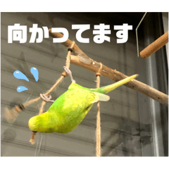 Akari_20220613192326