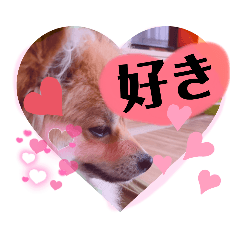 kichi_20220614064212