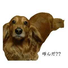 ririka_20220613225830