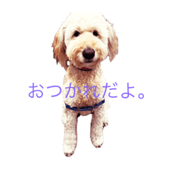 hana_20220613225253