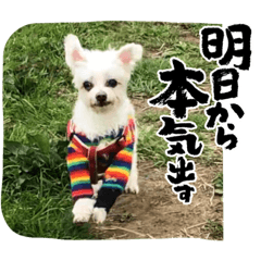 Ruby_20220614083442