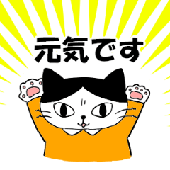 Hachiware Cat(everyday)