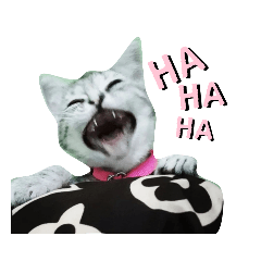 smile_20220613144324