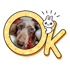 ai-sora-cookie
