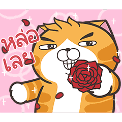 เหมียวซ่า : ท้าให้ลอง
