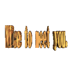 3DanimationTEXT.Nice to meet you.01