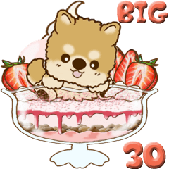 【Big】ちゃちゃ丸 30 『Sweets 2』