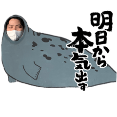 hana_20220614132209