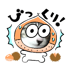 とことんにこねこ