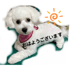 Rina_20220614153429