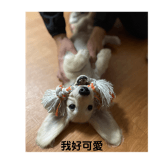 鵝子的梗圖，你絕對無法想像