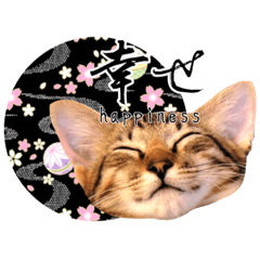 Japanese style cat stamp001byShiguuun