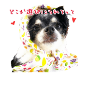 happy-happy-dog
