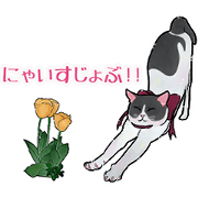 hachiware cats with tulips