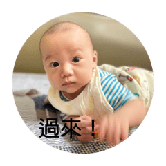 樂樂的日常～～～